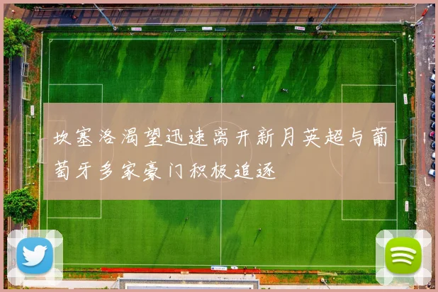 坎塞洛渴望迅速离开新月英超与葡萄牙多家豪门积极追逐