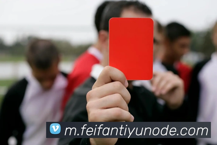 非凡体育平台生态图